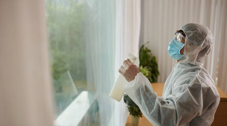 Why choose Termite & Rodent Pest Control Phoenix for pest control in Phoenix