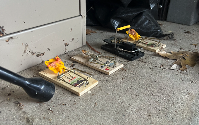 Professional rodent control - 3 mouse traps and 1 rat trap in garage